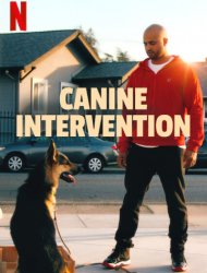 Canine Intervention